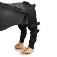 thumbnail image 4 of Protecteurs de Coude B pour Chien Protection des Pattes Arrière Ajustables, 4 of 5