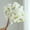 White, variant on Artificial Flowers Cherry Blossom Branches 42 Inch Fake Silk Cherry Blossom Flowers Arrangements for Wedding Party Home Decoration (Dark Pink,3Pack)