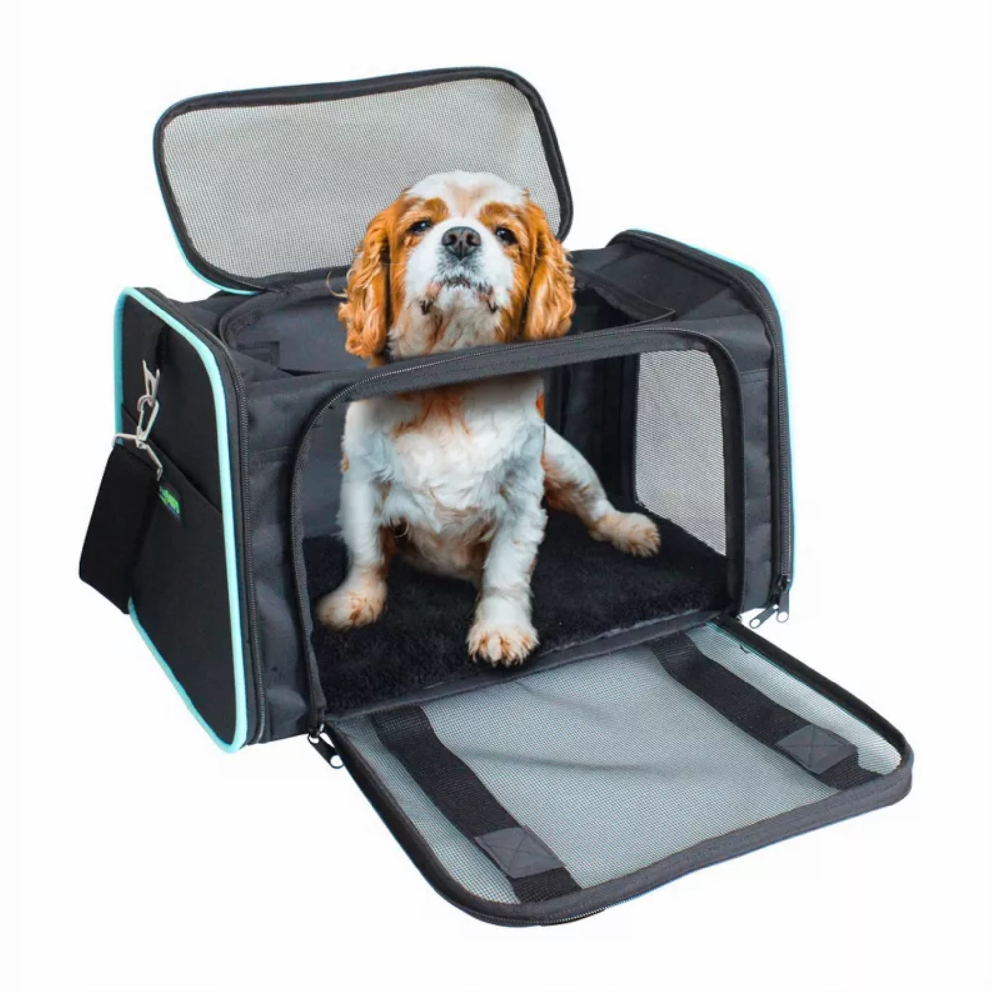 Are Dog Carriers Safe