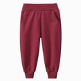 thumbnail image 2 of Pants For Boys 1-7 Years Tiddler Kids Baggy Sweatpants Wide Leg Pants Fall Winter Workout Athletic Pants Kids Sweatpants Size 3-4 Years, 2 of 7