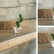 thumbnail image 4 of Estatuilla de cactus de vidrio hecha a mano, estatua en miniatura de cactus de vidrio soplado a mano, decoración del hogar de vidrio para niños y mujeres, 4 of 5