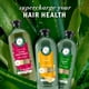 thumbnail image 3 of Herbal Essences Sulfate Free Shampoo with Honey for Daily Moisture, Nourishes Dry Hair, Moisturizing Shampoo with Certified Camellia Oil and Aloe Vera, Lightweight For All Hair Types, 33.8oz, 3 of 9