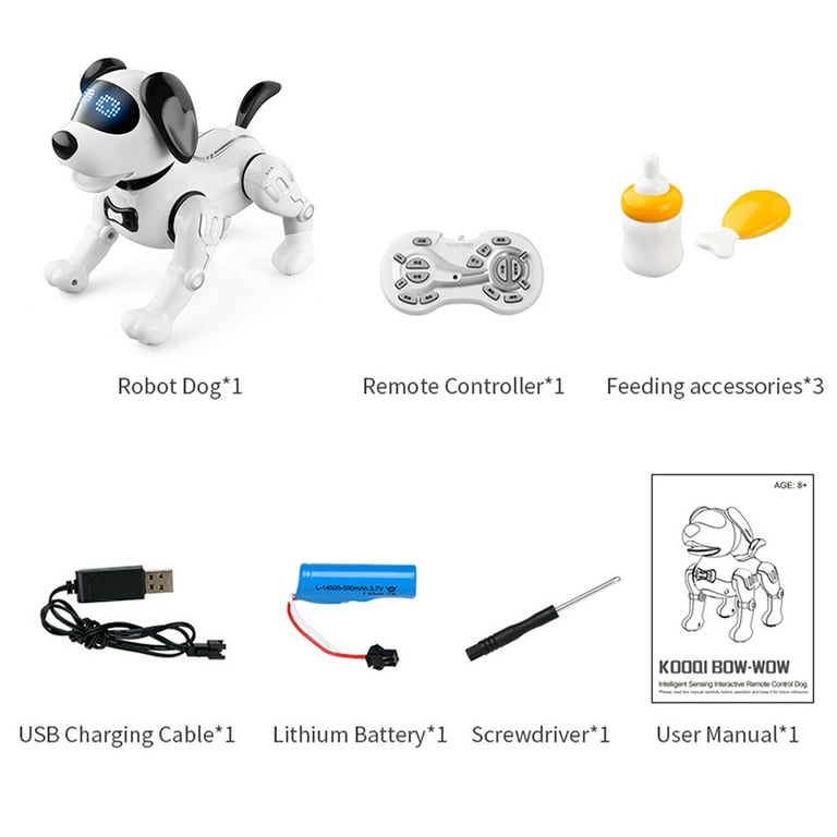 Remote R19 RC Robot Smart Talking Programming Dance Interactive