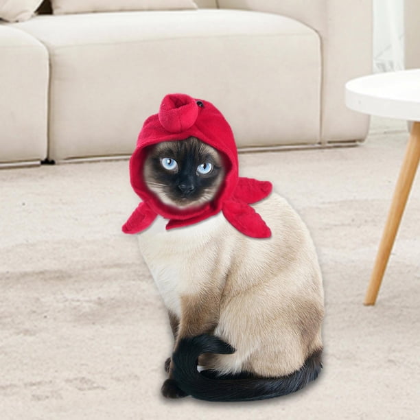 Sombrero Colco para Mascotas con capucha cálida Disfraz de cumpleaños