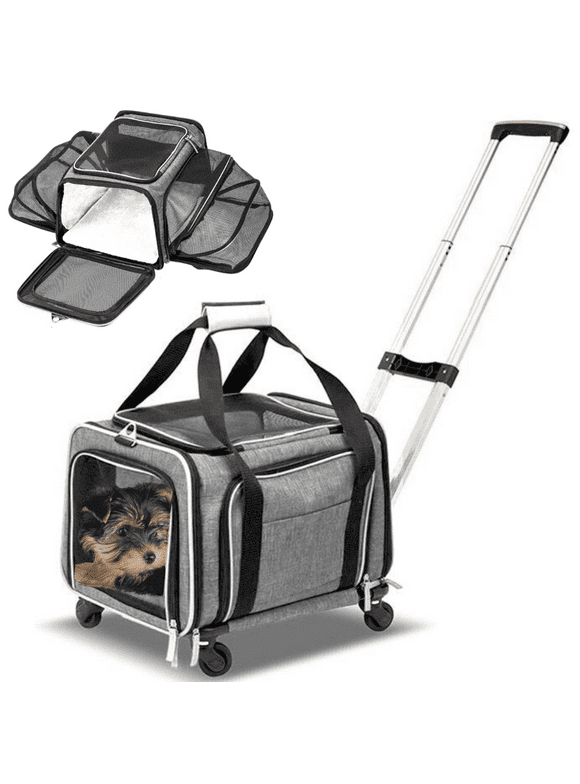 Airline Approved Dog Carriers in Dog Carriers