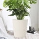 thumbnail image 3 of Maceta autorriego redonda de plástico (paquete de 1) de 21,5 cm de diámetro con indicador de nivel de agua y orificios de drenaje. Cuidado sencillo para plantas de interior y decoración de, 3 of 7