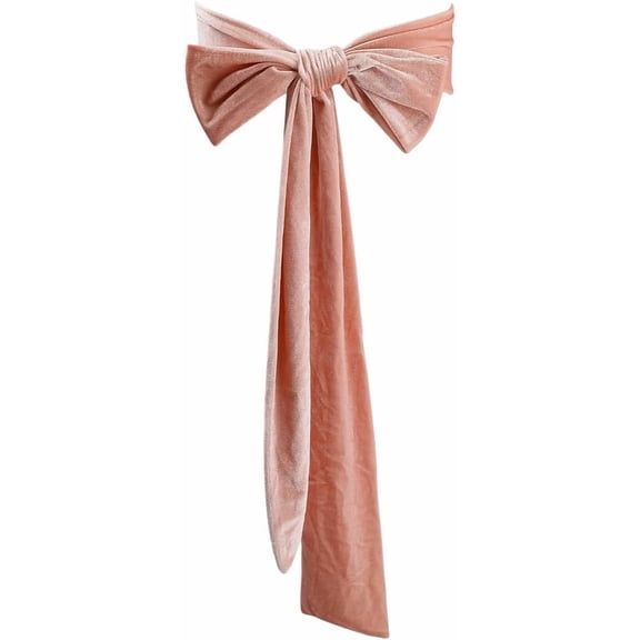 Wedding Belt Women Velvet Sash Belt Pale Pink Tie Long Dress Sash Waist Bridal Neck Scarf for DIY Prom Party Special Occasion Dress Bridal Sash Belt 99 x 3.9 inch Wide