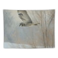 thumbnail image 5 of Orinice Bird Flying Snowy Landscape Tapestry Wall Hanging Unique Style Graphic Tapestries Home Wall Decor Art 40x30inch, 5 of 6