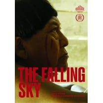 Kimstim - The Falling Sky [DIGITAL VIDEO DISC]