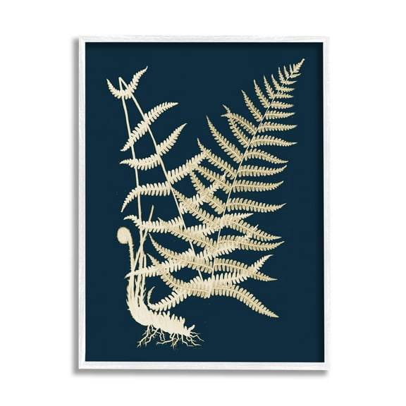 Stupell Industries Layered Fern Leaves Abstract Botanical Roots Shapes Graphic Art White Framed Art Print Wall Art, Design by Piddix