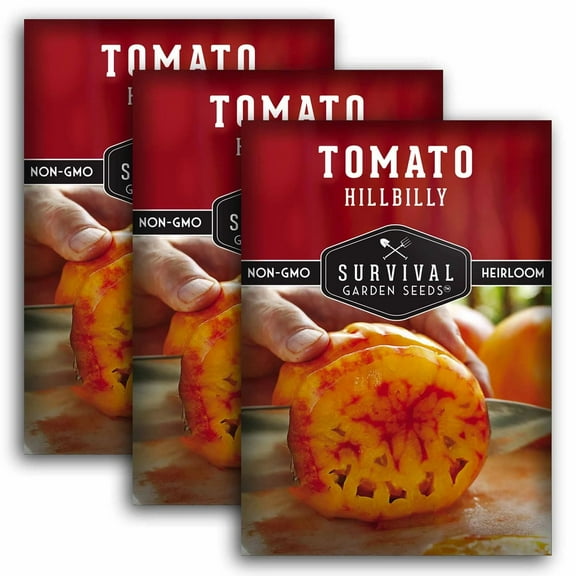 3 Packs Hillbilly Tomato Seeds - Non-GMO Heirloom Full Sun Annual Vegetable