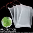 thumbnail image 4 of Gustave 100PCS Garden Plant Mesh Bags Fruit Protect Drawstring Net Bag Barrier Bags Against Insect Pest Bird -9.8x5.9 inch, 4 of 10