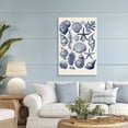 thumbnail image 2 of Stupell Industries Conch & Creature Collection Canvas Wall Art, design by LSR Design Studio, 45 x 30, 2 of 7