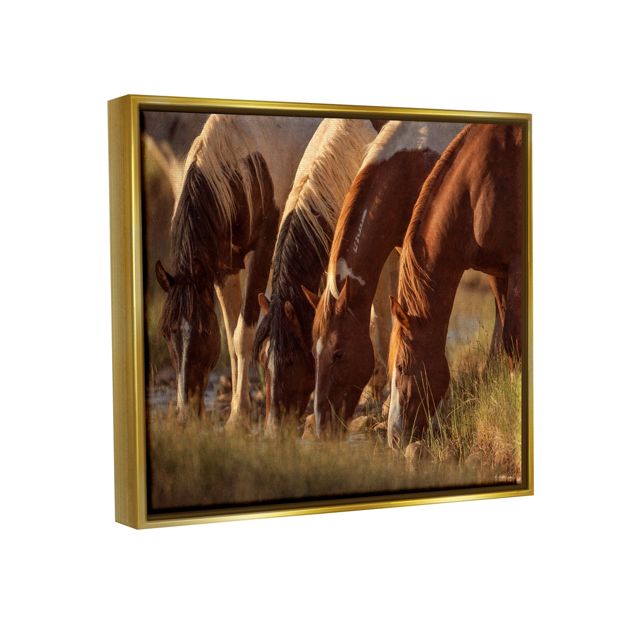 Stupell Industries Sunlit Horses Drinking Water Wildlife Nature Scene Photograph Metallic Gold Floating Framed Canvas Print Wall Art, Design by Jan Walters