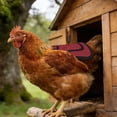 thumbnail image 2 of 1/2 Pieces Chicken Saddle for Hens, Outdoor Hen Apron with Adjustable Strap Chicken Vest Jacket Clothes for Protective Poultry Feather Sling Back & Sides Protector Accessories, 2 of 9