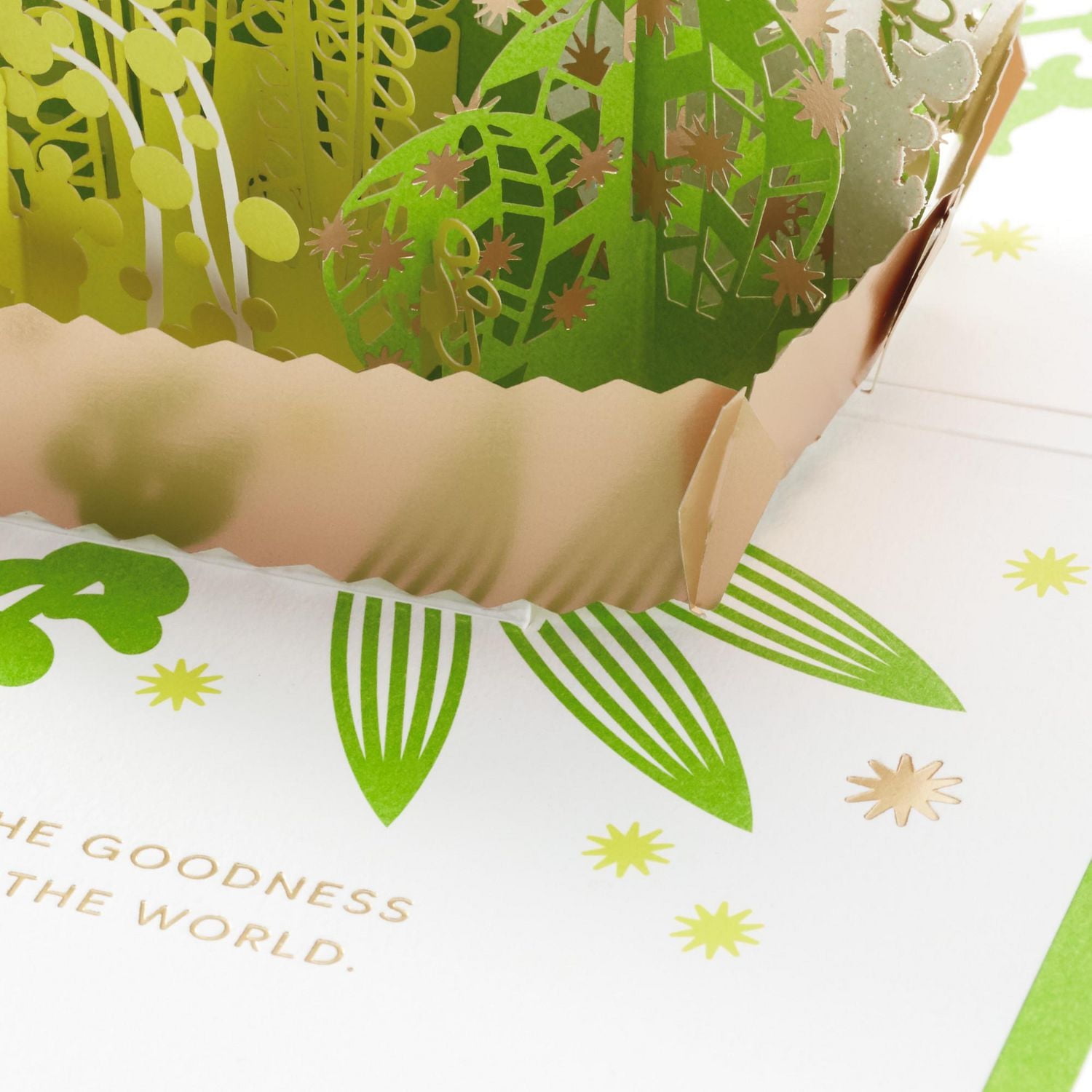 Carte Signature de remerciement en relief – Paper Wonder de Hallmark – Plante succulente (Carte pour la Journée des infirmiers/infirmières, et pour les professeurs)