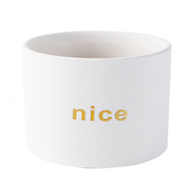 Coofit Ceramic Plant Pot Decorative: Simple Flower Pot Succulent Planter Pot with Hole
