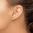 thumbnail image 3 of Auriga Fine Jewelry 14K White Gold Citrine Stud Earrings for Women (L- 0.2 inch, W- 0.2 inch), 3 of 6