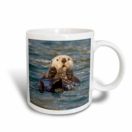 

3dRose Sea Otter Prince William Sound Alaska USA - US02 HRO0648 - Hugh Rose - Ceramic Mug 11-ounce