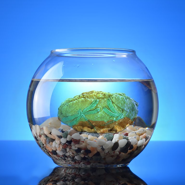dinosaur fish tank accessories Aquarium Fossil Decoration, Beautiful Resin Artificial Aquarium Dinosaur Fossil Reptile Resin Dinosaur Fossil Rock Hideout, Small Dinosaur Aquarium Decorations for Fish Tank : Pet Supplies have for enthusiasts of the Jurassic Park and Jurassic World franchises Top Fin® Dinosaur Brontosaurus Aquarium