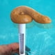 thumbnail image 4 of XWSHYW Termómetros Termómetros de Piscina de Caca Traviesa Flotan En Verano 10 Ml, 4 of 6