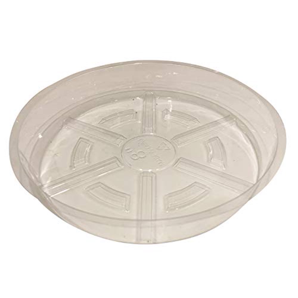 8 Inch Clear Plastic Plant Saucers Drip Trays (Pack of 10) Walmart