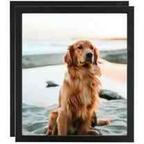 ArtToFrames 11" x 14" Satin Black Short Picture Frame, 11x14 inch Black Wood Poster Frame (WOM-1416), 2 Pack