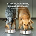 thumbnail image 6 of Iconic Pet 2-Pack Anti Ant Stainless Steel Non Skid Pet Bowl For Dog or Cat, 64 Oz, 8 Cup, 6 of 10