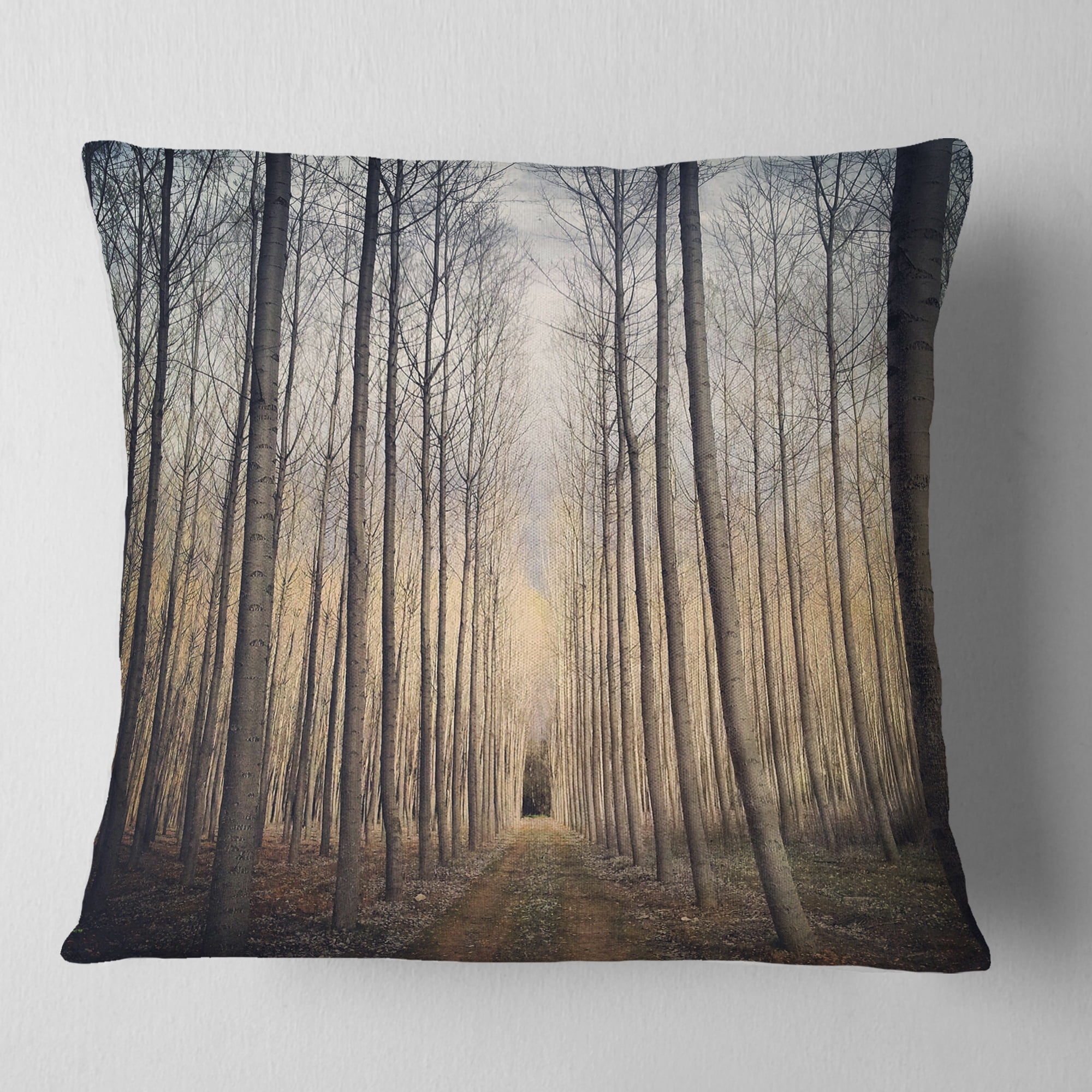Designart Thick Forest of Poplars at Sunset - Forest Throw Pillow - 18x18