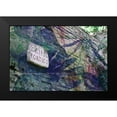 thumbnail image 2 of James, Nola 18x13 Black Modern Framed Museum Art Print Titled - Cripto, 2 of 5