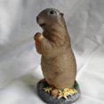 thumbnail image 4 of Vivid Animal Statue Duck Frog Figurines Adorno de césped Accesorios para a Sunnimix figuritas de jardín animal, 4 of 8