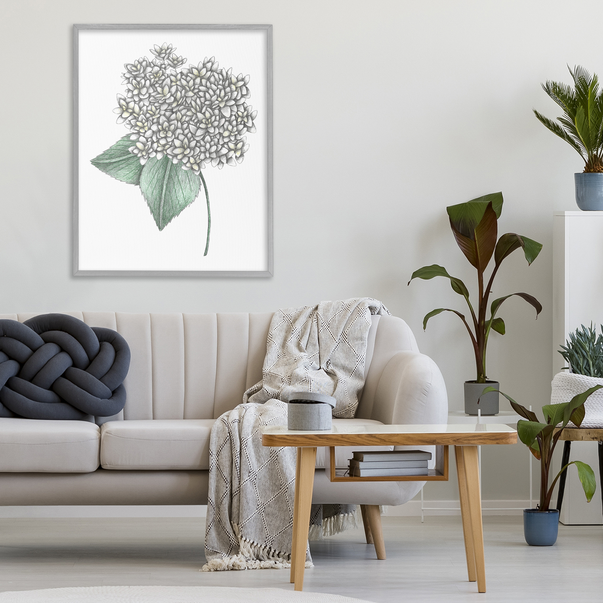 White Hydrangea Sketch Blossom Gray Framed Giclee Art, design by Cecilia Battaini