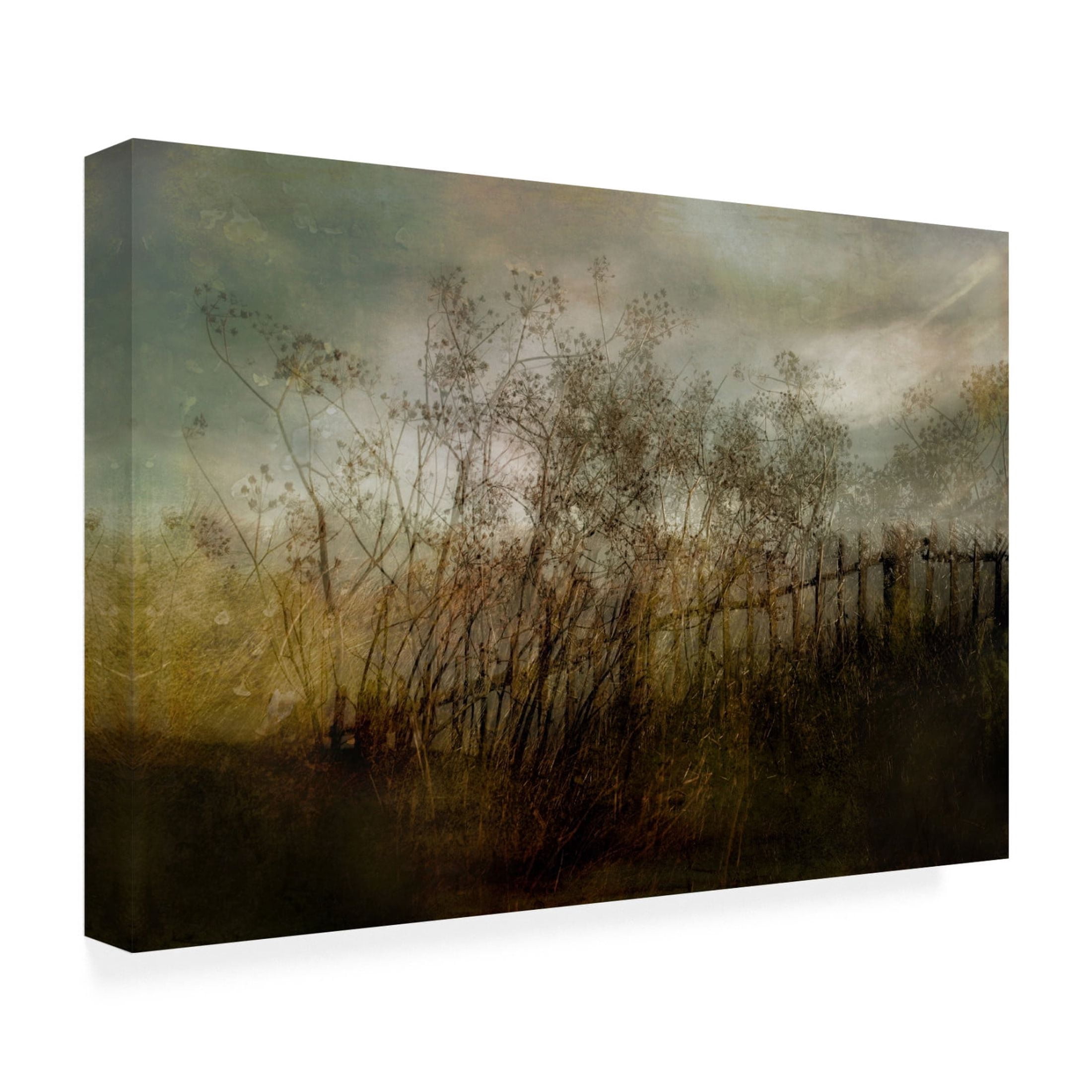 Canvas Wall Art - Nel Talen 'Old Dream' Wall Art for Living Room, Bedroom, or Office D?cor by Trademark Fine Art - 47 x 30 Inches