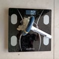thumbnail image 4 of Floating Pool White Bear Outdoor And Indoor Swimming Pools1ML Smart Vacuum, 4 of 8