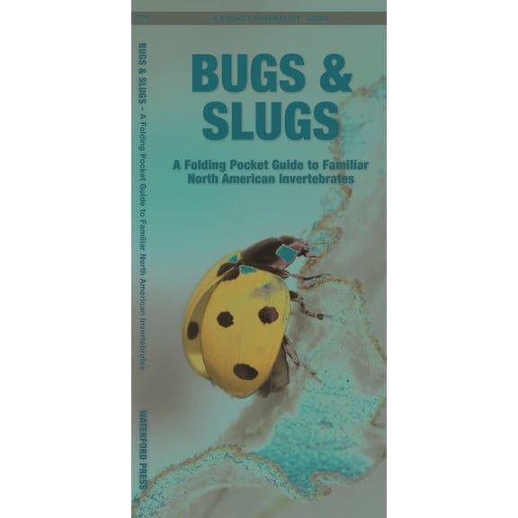 Pre-Owned Pocket Naturalist Guide: Bugs & Slugs: A Folding Pocket Guide to Familiar North American Invertebrates (Other)