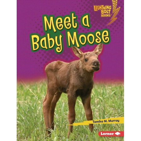 Lightning Bolt Books (R) -- Baby North A Meet a Baby Moose, (Hardcover)