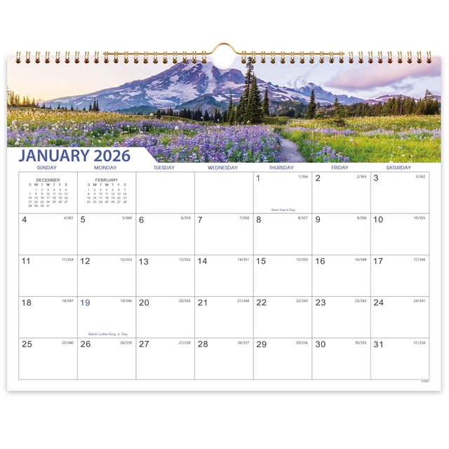 Calendario MaaiBok 2026-2027, papel de pared, 18 meses, 15 x 29 cm de grosor