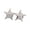 Silver 2, variant on Five-pointed Star Badge Metal Star Pin Costume Decorations Brooch for Women Men