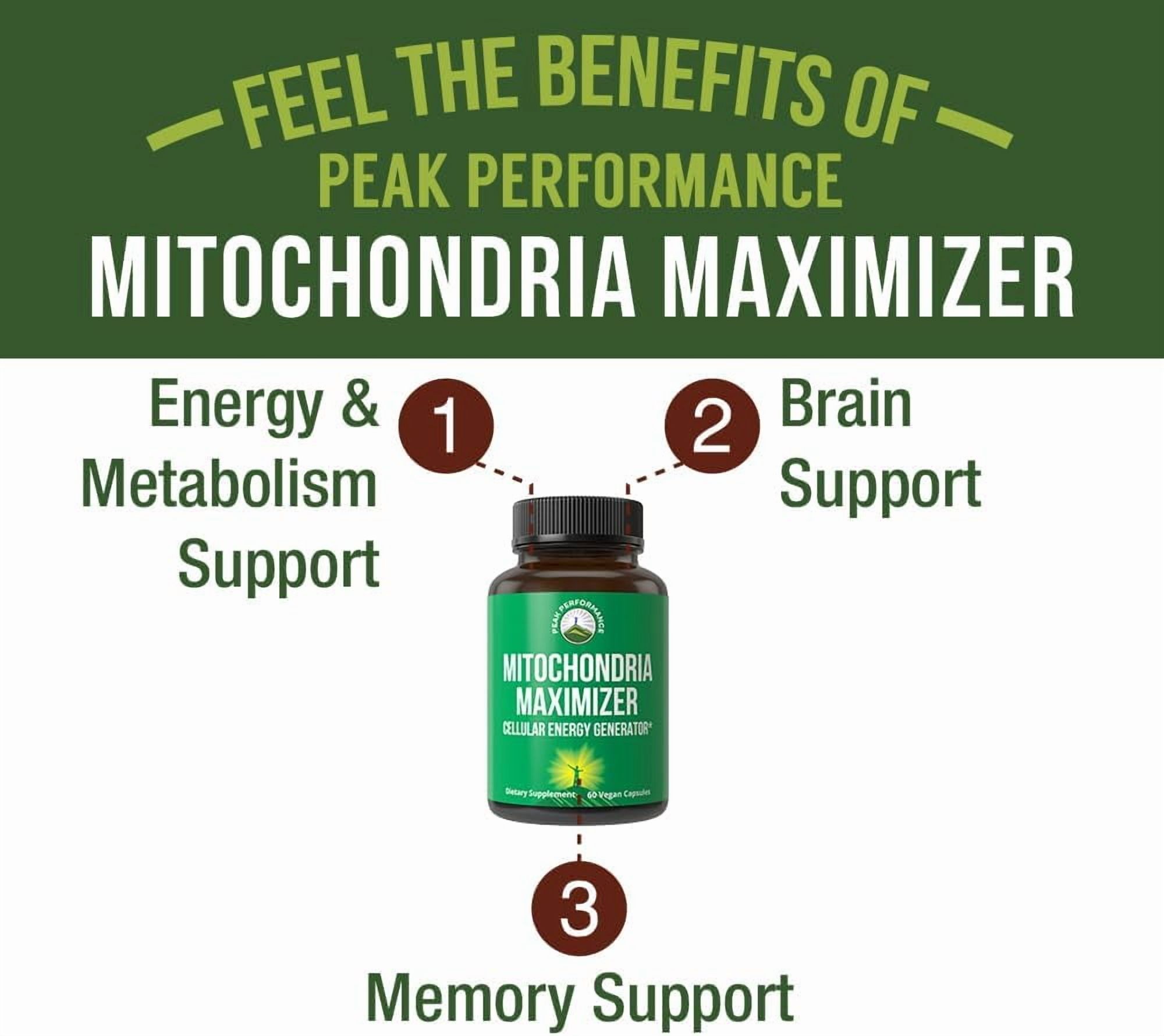 Mitochondria Maximizer with CoQ10 and Active PQQ. Best Mitochondrial Support Supplement with MCT Oil. Natural Cellular Generator for Clean, Energy Support. 60 Vegetarian Capsules