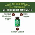 thumbnail image 2 of Mitochondria Maximizer with CoQ10 and Active PQQ. Best Mitochondrial Support Supplement with MCT Oil. Natural Cellular Generator for Clean, Energy Support. 60 Vegetarian Capsules, 2 of 7