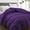 Purple-Twin（64*88）, variant on Full（82*86） Red All Season Down Alternative Quilted Comforter