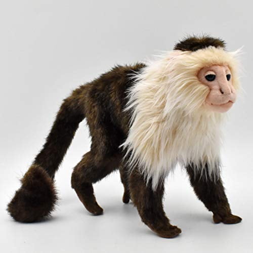 Stuffed sales capuchin monkey
