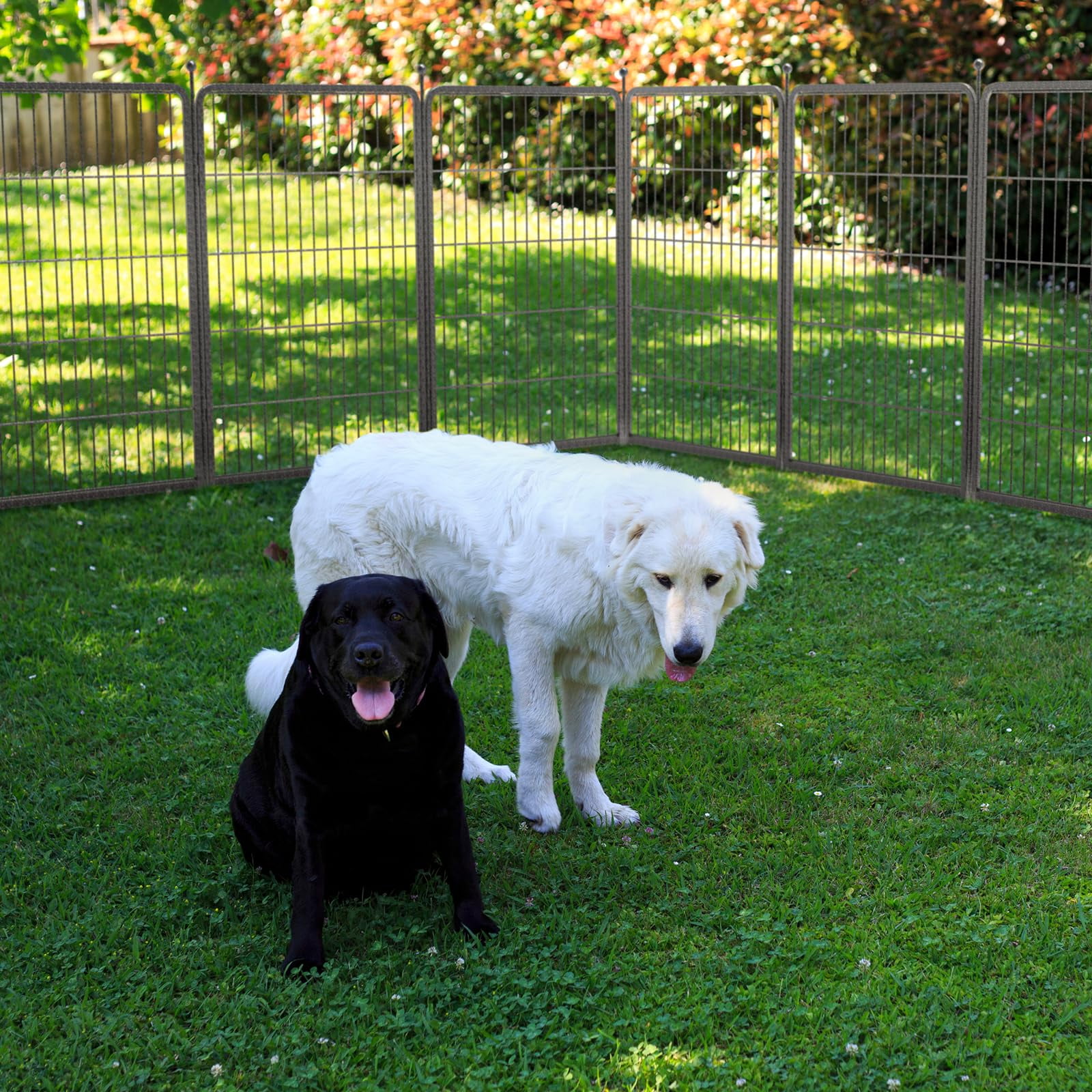 FXW Aster Dog Playpen Designed for Courtyard, RV Camping, 40" 48 Panels for Large Dogs, Silver