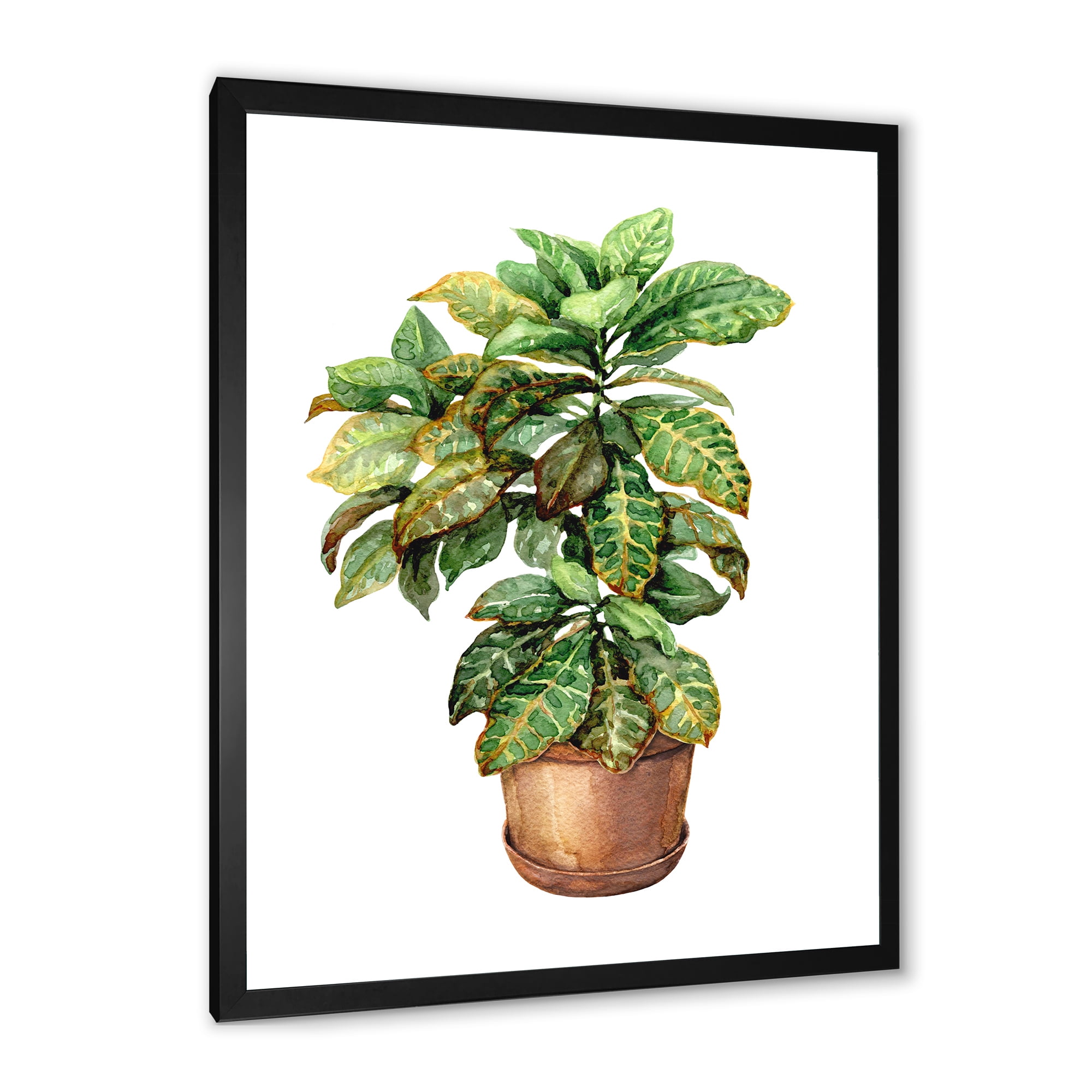 Designart 'Green Croton In Clay Flowerpot' Traditional Framed Art Print