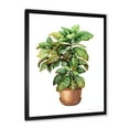 thumbnail image 2 of Designart 'Green Croton In Clay Flowerpot' Traditional Framed Art Print, 2 of 4
