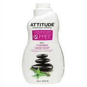 Attitude Foaming Hand Soap, Coriander & Olive, 35.2 Fl Oz