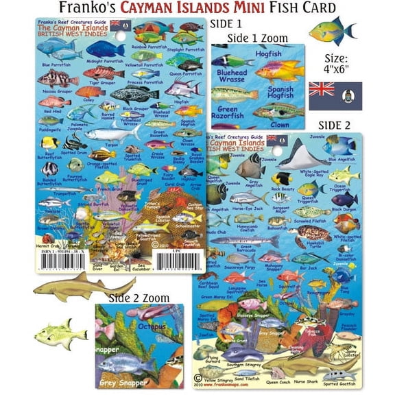 Franko Maps - Mini Cayman Islands Reef Fish ID