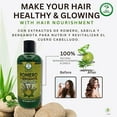 thumbnail image 4 of SHAMPOO ROMERO & BERGAMOTA (ROSEMARY & BERGAMOT) 16.9 fl oz healthy and beautiful hair with every wash, 4 of 6