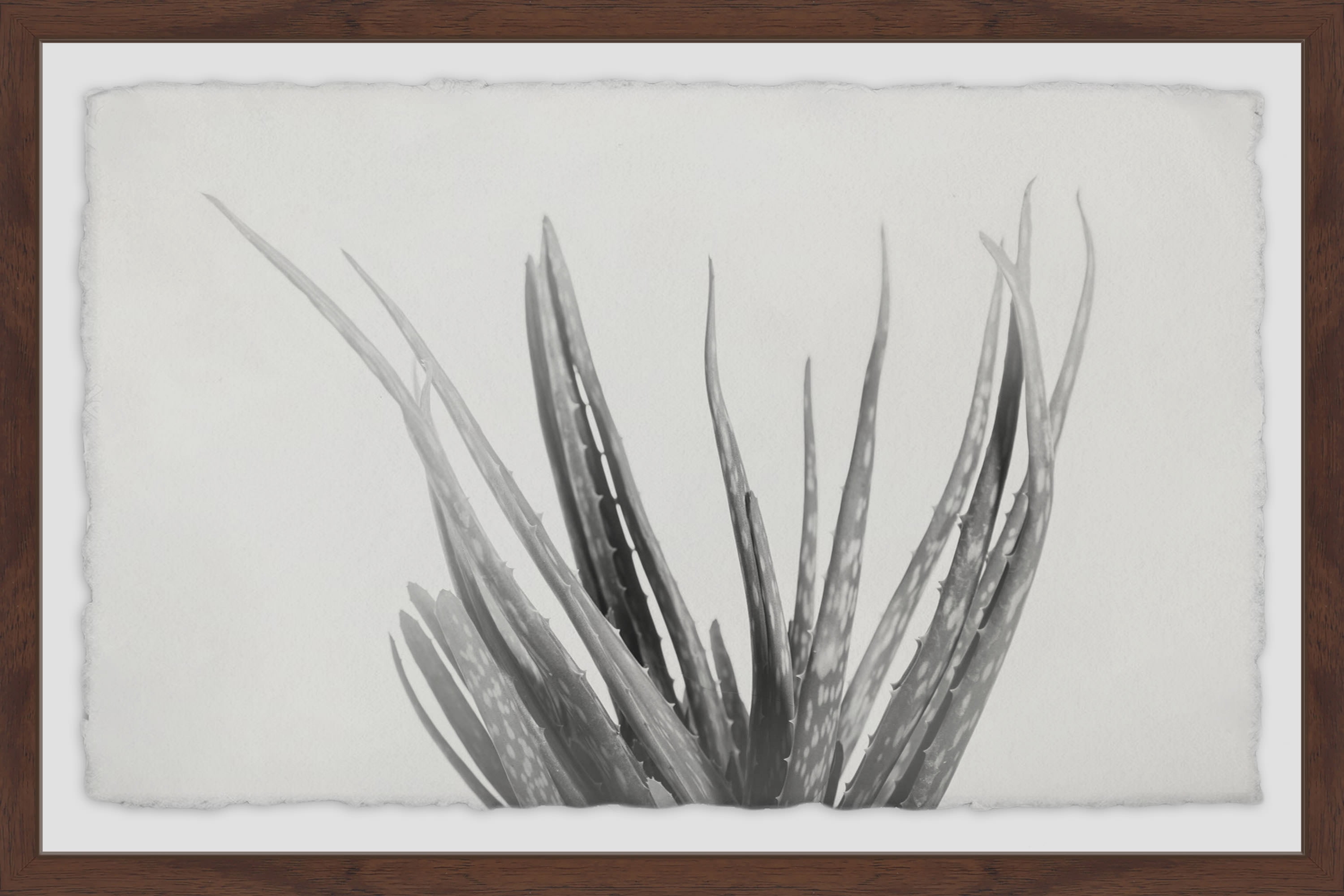 Thin Stems Framed Painting Print
