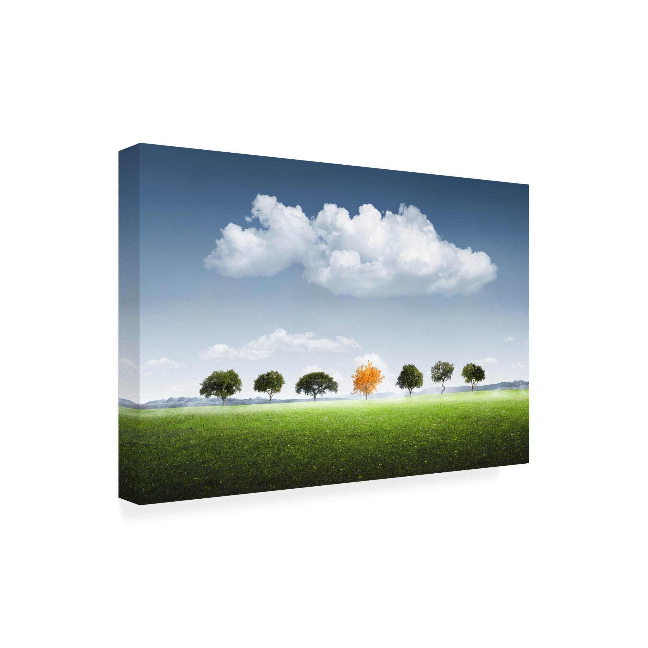 Trademark Fine Art Bess Hamiti Seven Tree Canvas Wall Art